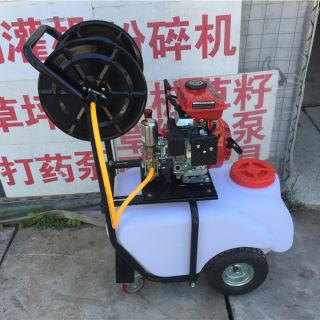 上海園林打藥泵，100L打藥泵，汽油打藥機(jī)